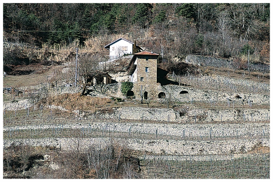 Rocchetta Belbo, casa di pietra con terrazzamenti ©LM.jpg