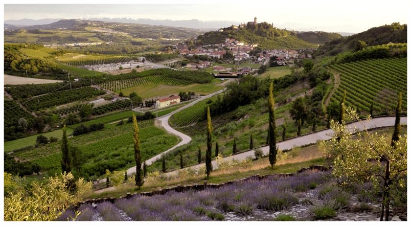 LANGHE ROERO TURISMO.jpg