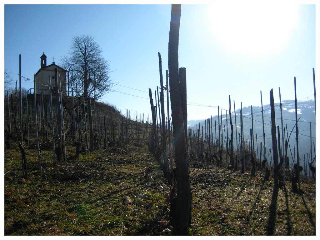 SINIO COMUNE LANGHE ROERO PIEMONTE TURISMO VIGNETI.jpg