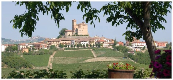 Serralunga-dAlba-across-the-vineyards-from-the-Rivetto-winery1-590x274.jpg