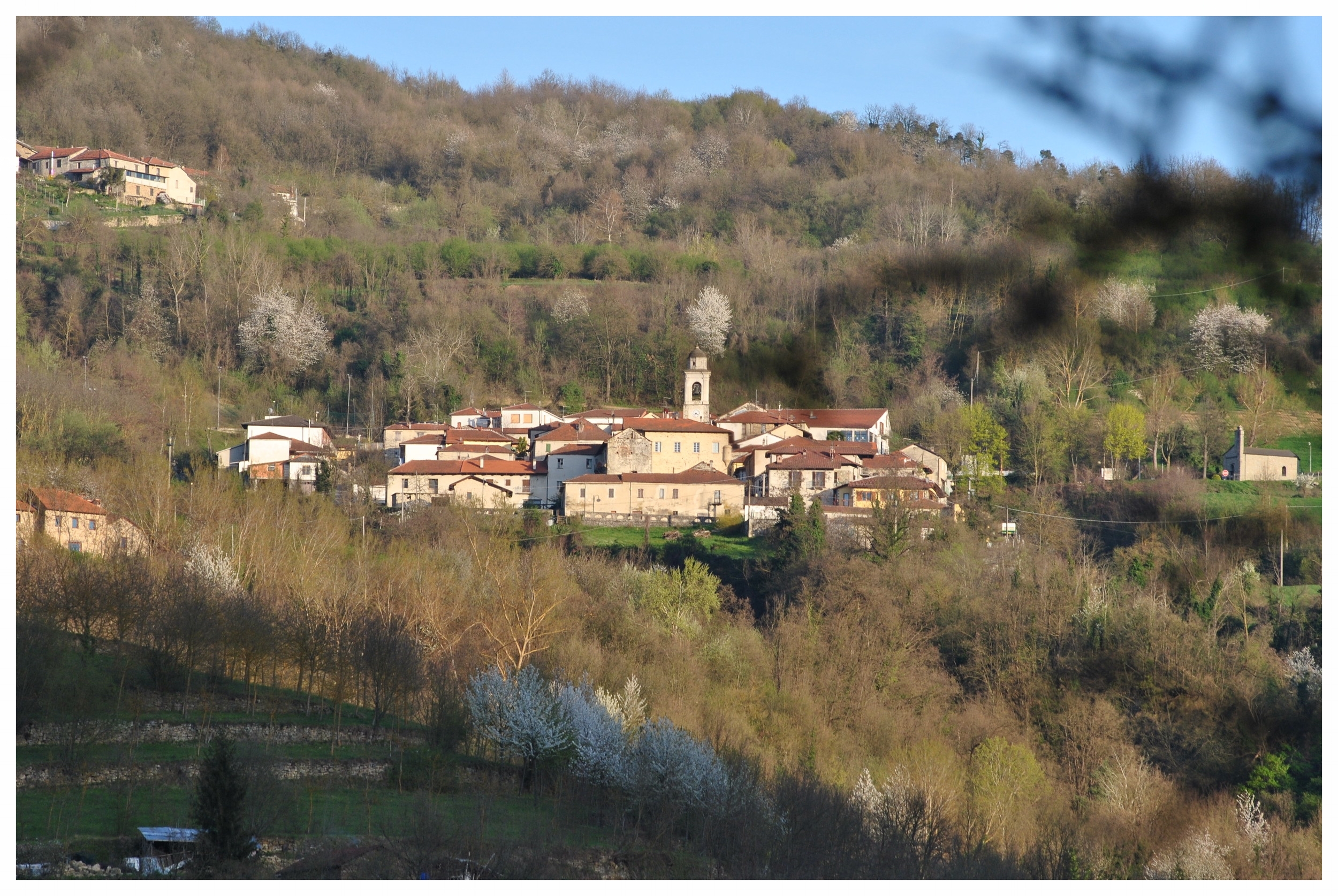 TORRE BORMIDA PIEMONTE LANGHE ROERO .jpeg