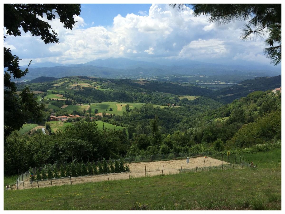 paesaggi-da-torresina piemonte langhe roero turismo mangiare.jpg