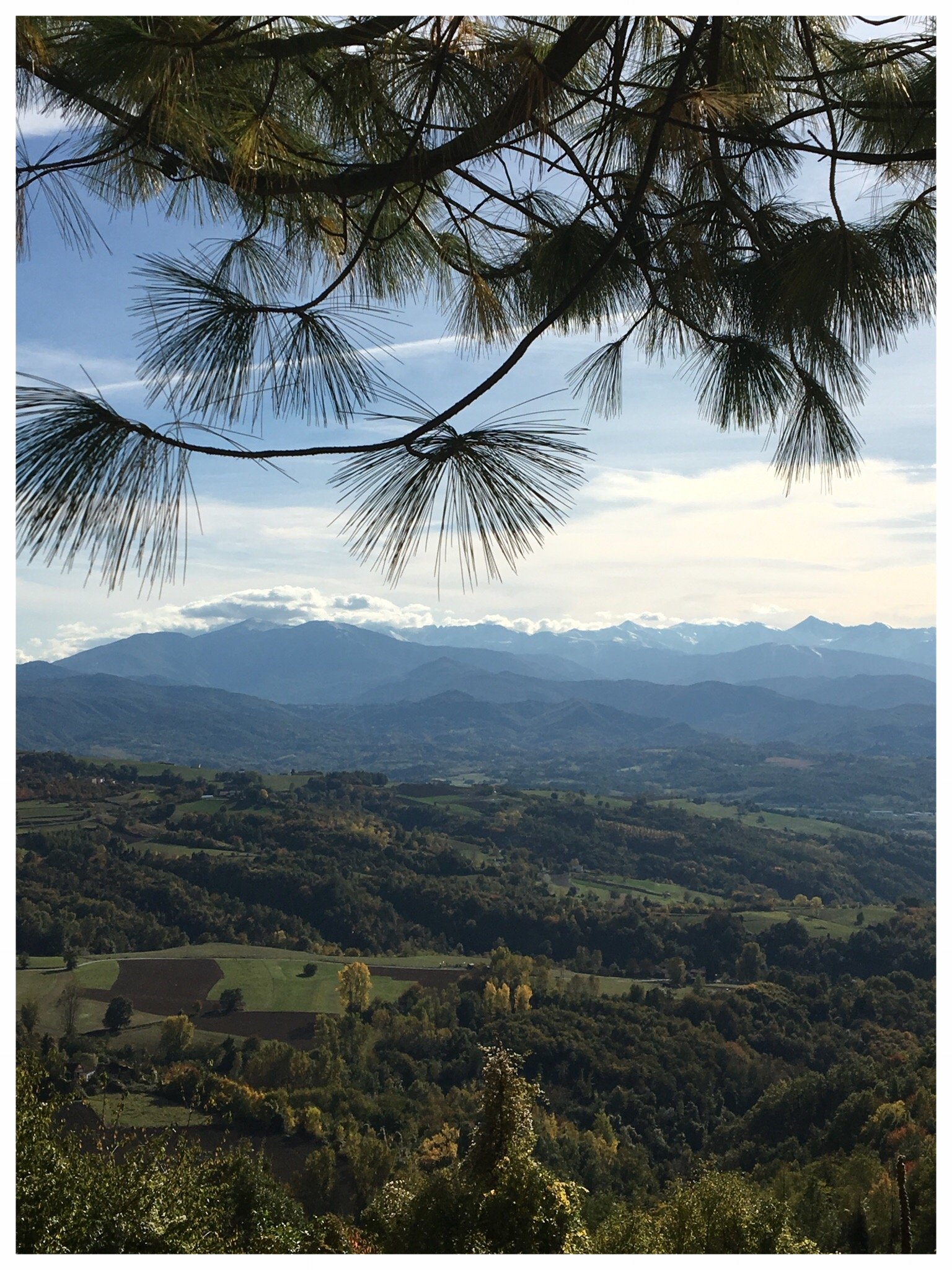 paesaggi-da-torresina piemonte langhe roero turismo paese.jpg