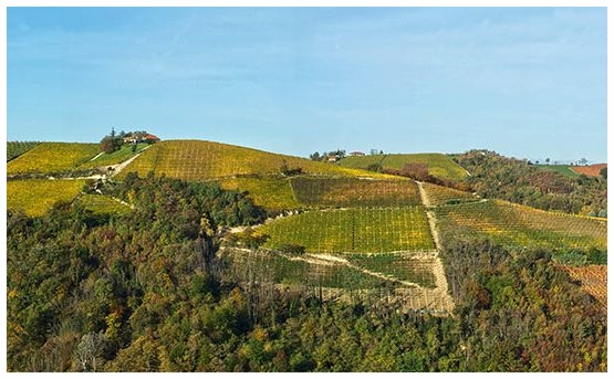 TREZZO TINELLA LANGHE ROERO CANTINE.jpg