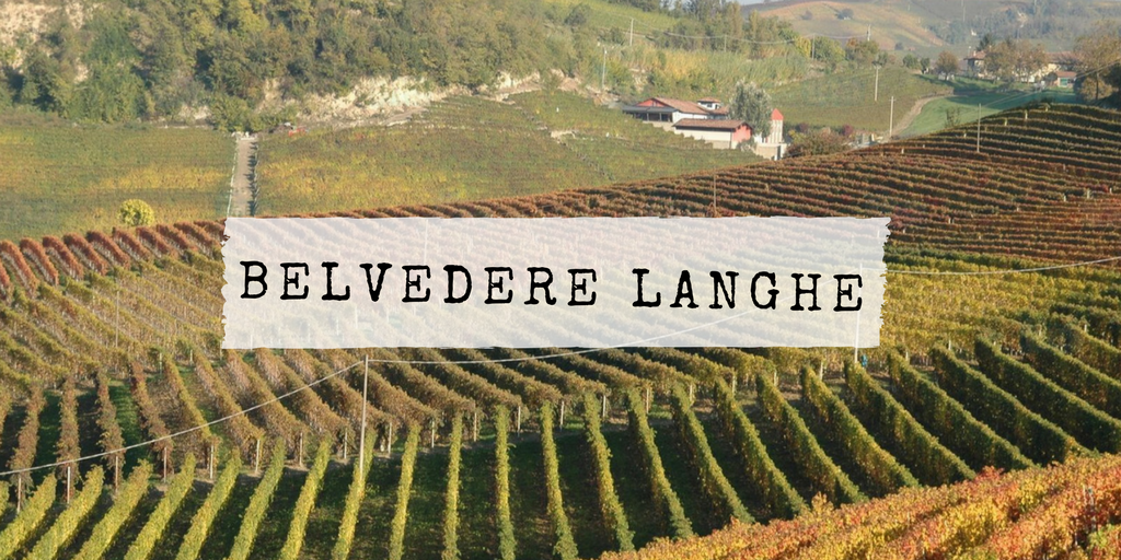 BELVEDERE LANGHE