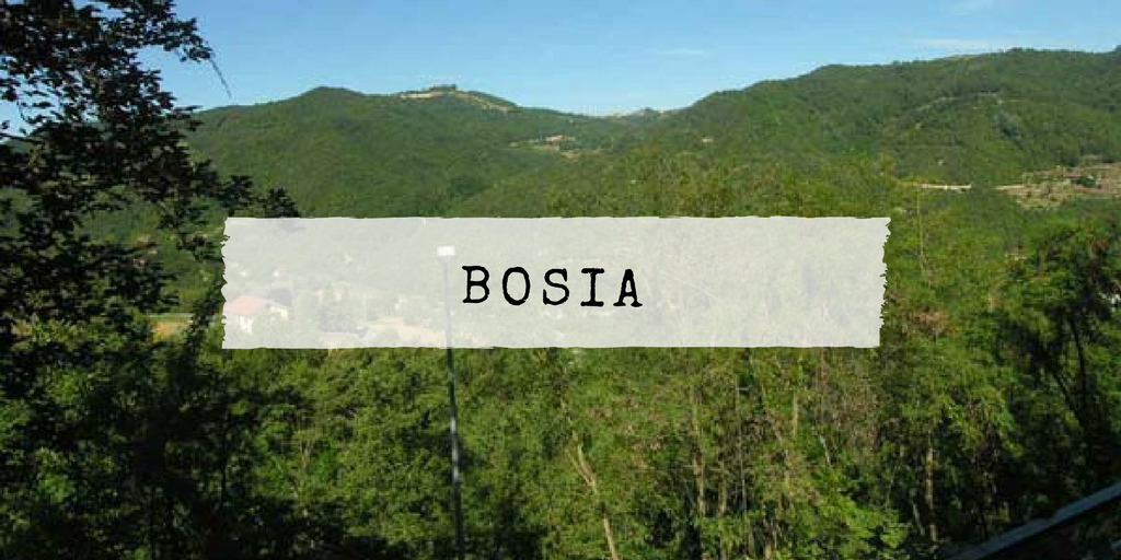 BOSIA