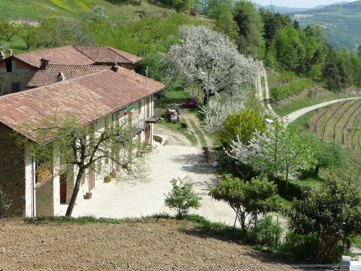 CASCINA MONSIGNORE