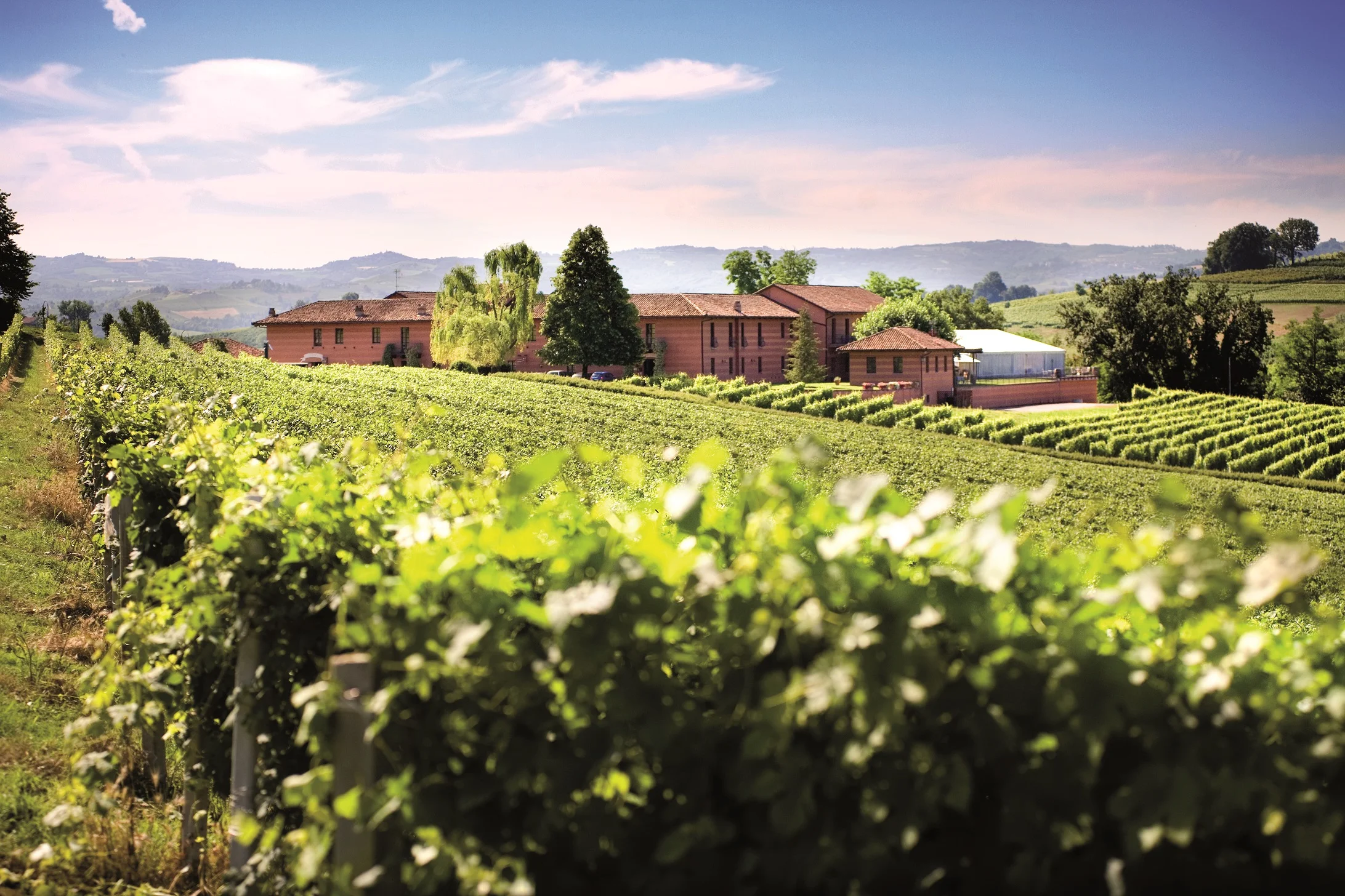 VACANZE LANGHE ROERO PIEMONTE PIOBESI D'ALBA HOTEL TENUTA CARRETTA CANTINA.jpg