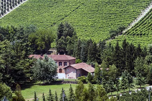 AGRITURISMO VALDISPINSO