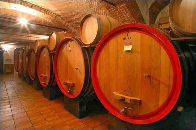 CANTINE LANGHE ROERO PIEMONTE VINI WINE barbaresco CASCINA LUISIN.jpeg