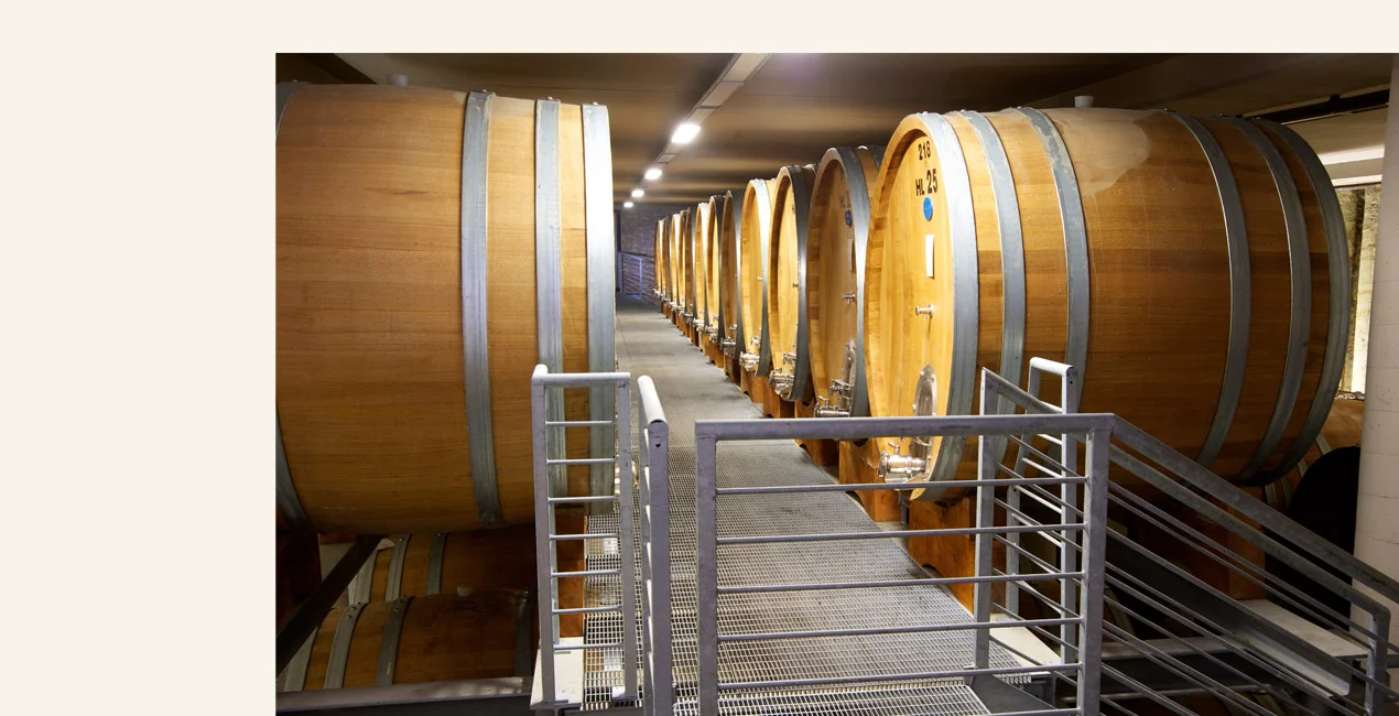 PRODUTTORI DEL BARBARESCO