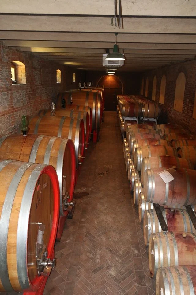 TENUTA MONTANELLO