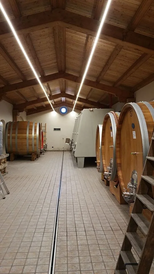 CANTINE LANGHE ROERO PIEMONTE VINI WINE DOGLIANI  CHIONETTI QUINTO.jpg