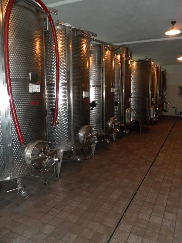 SAVIGLIANO PIERGIORGIO