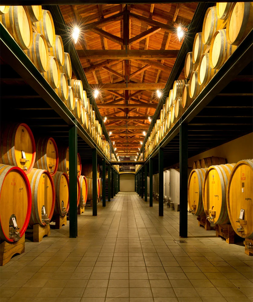 CORDERO DI MONTEZEMOLO