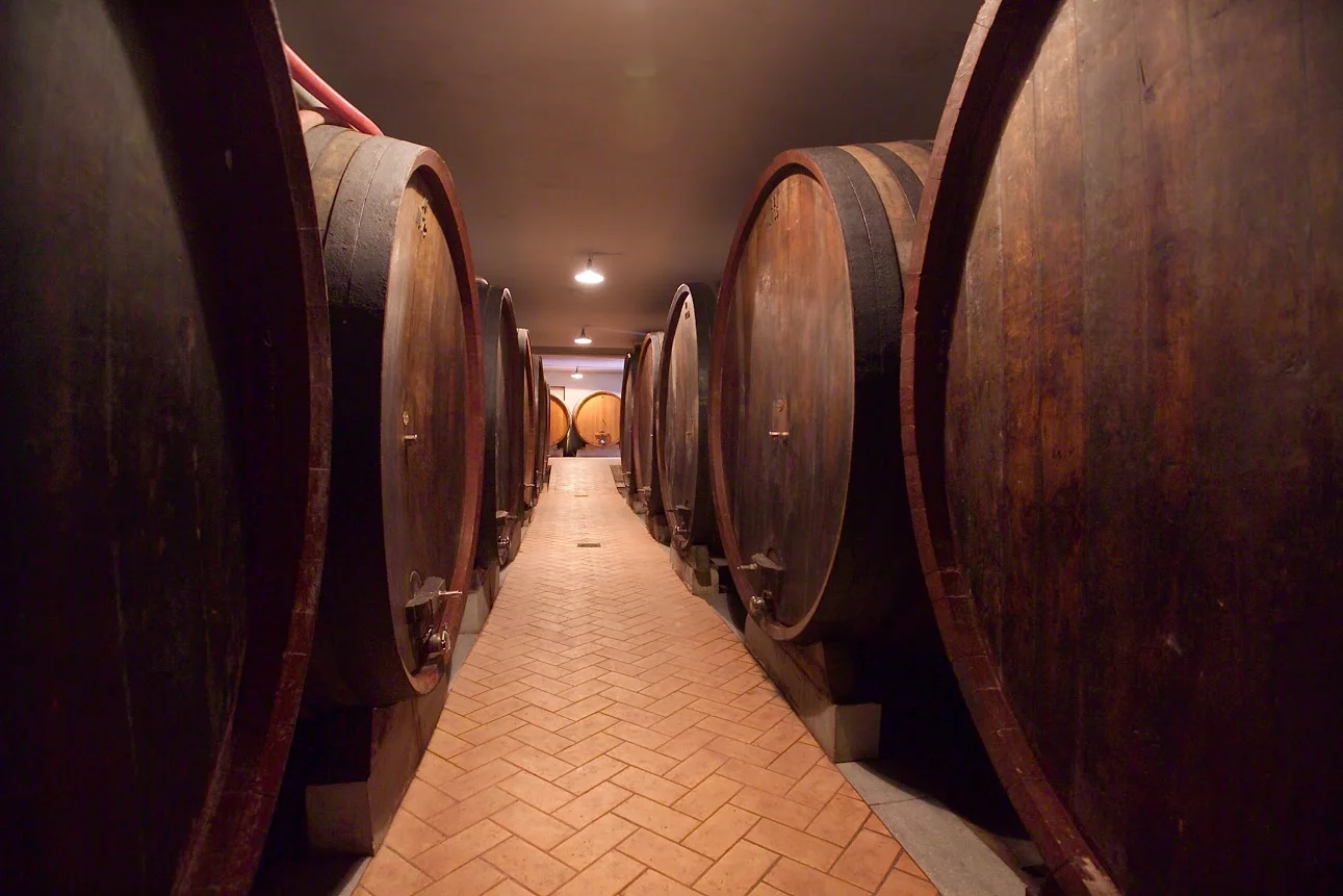 PODERI E CANTINE ODDERO