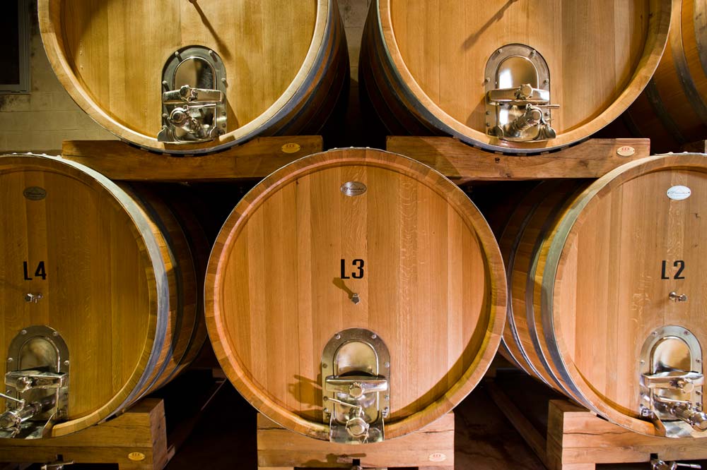 cantine piemonte langhe e roero vini MONFORTE D'ALBA AMALIA .jpg