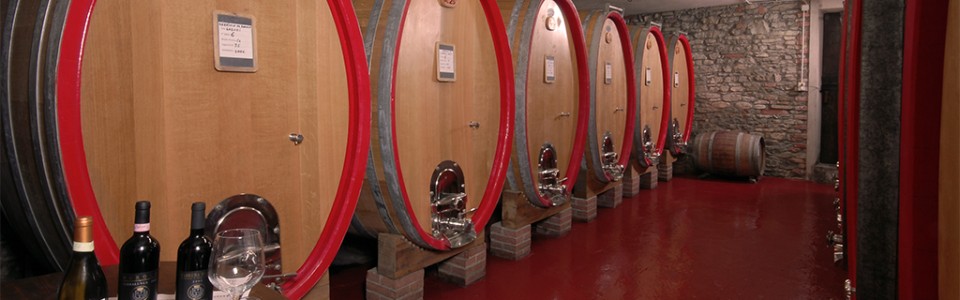 cantine piemonte langhe e roero vini SERRALUNGA ALBA GABUTTI BOASSO.jpeg