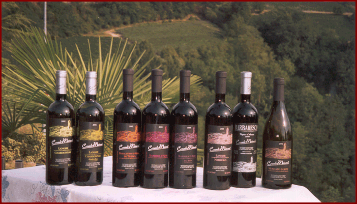 CANTINE SERRALUNGA ALBA LANGHE ROERO VINI MEINARDI CANTINA TREISO.gif