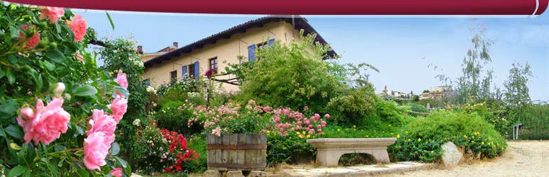 IL PROFUMO DELLE ROSE