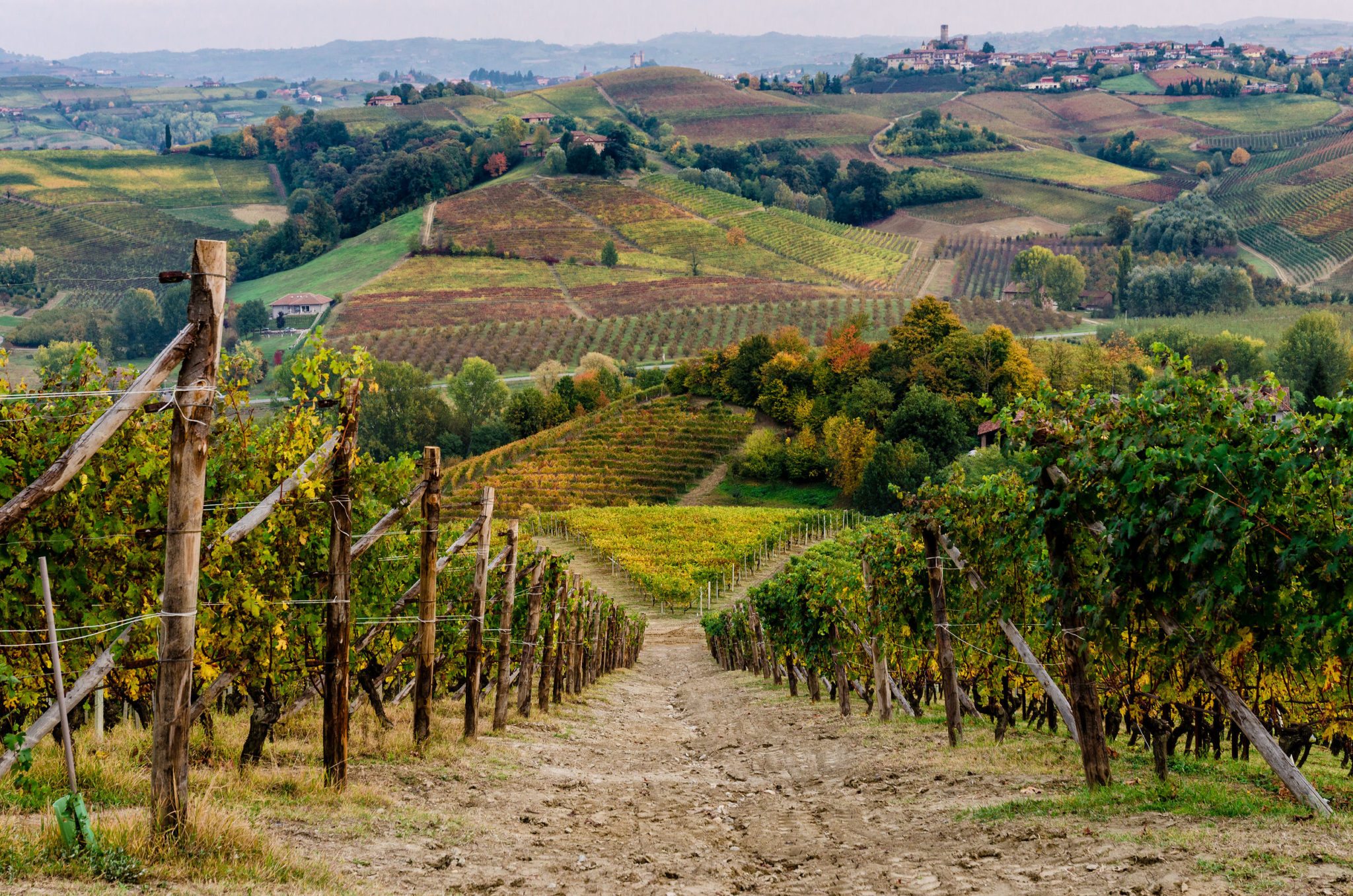 langhe roero 2.jpg