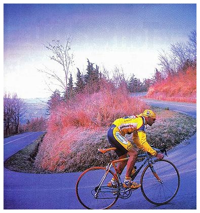 Marco Pantani salita langhe .jpg