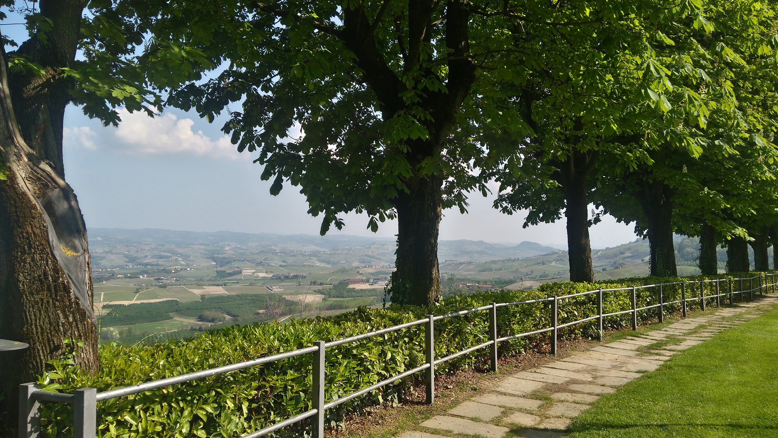 percorsi itinerari langhe roero verduno belvedere panorami.jpg