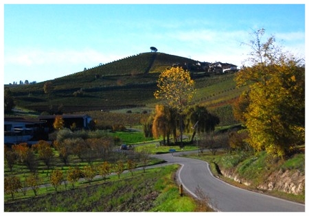 percorsi itinerari langhe roero verduno tour.jpg