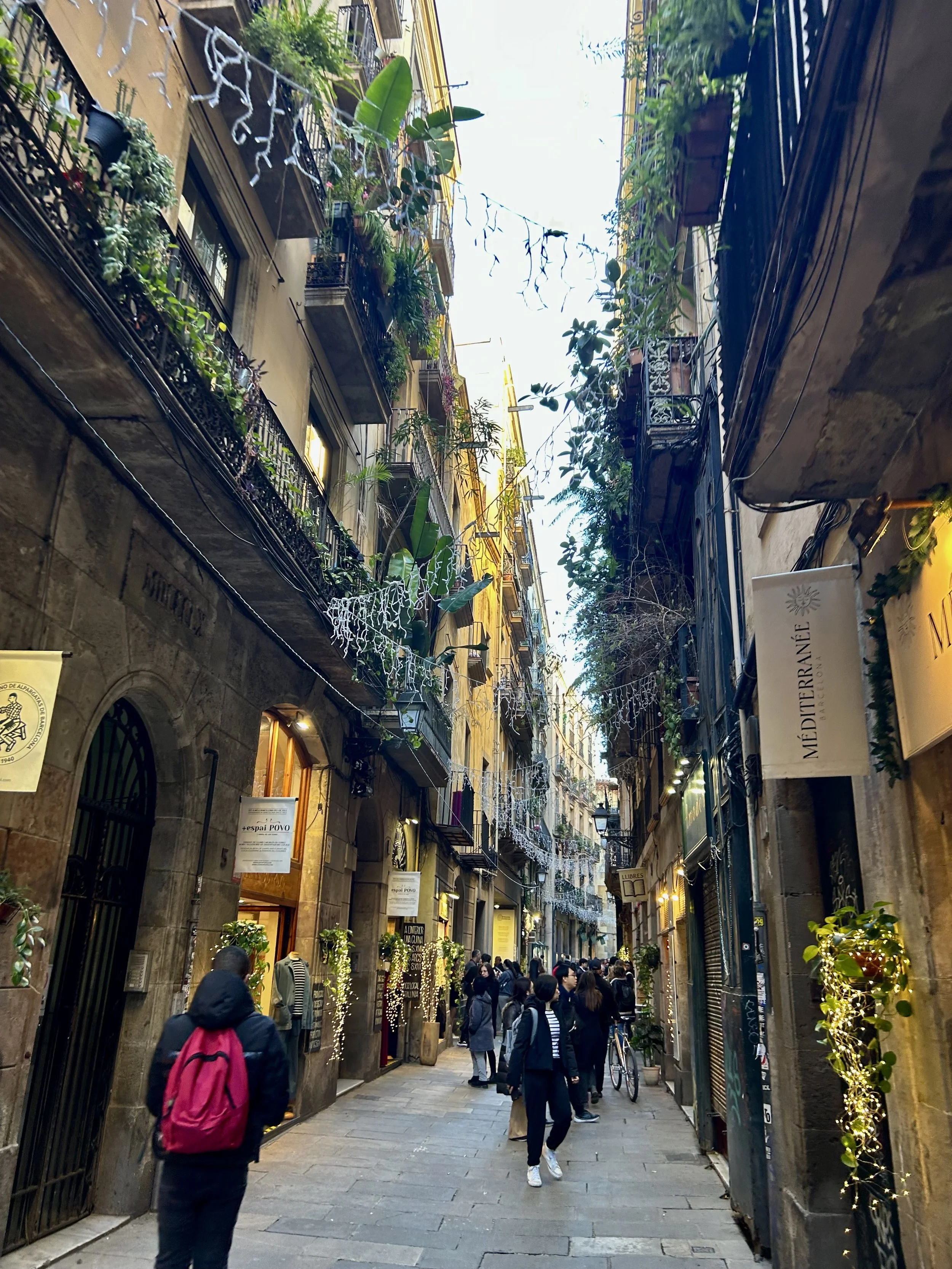 Photograph of narrow street in the Gothic Quarter with Greenery hanging from balconies.