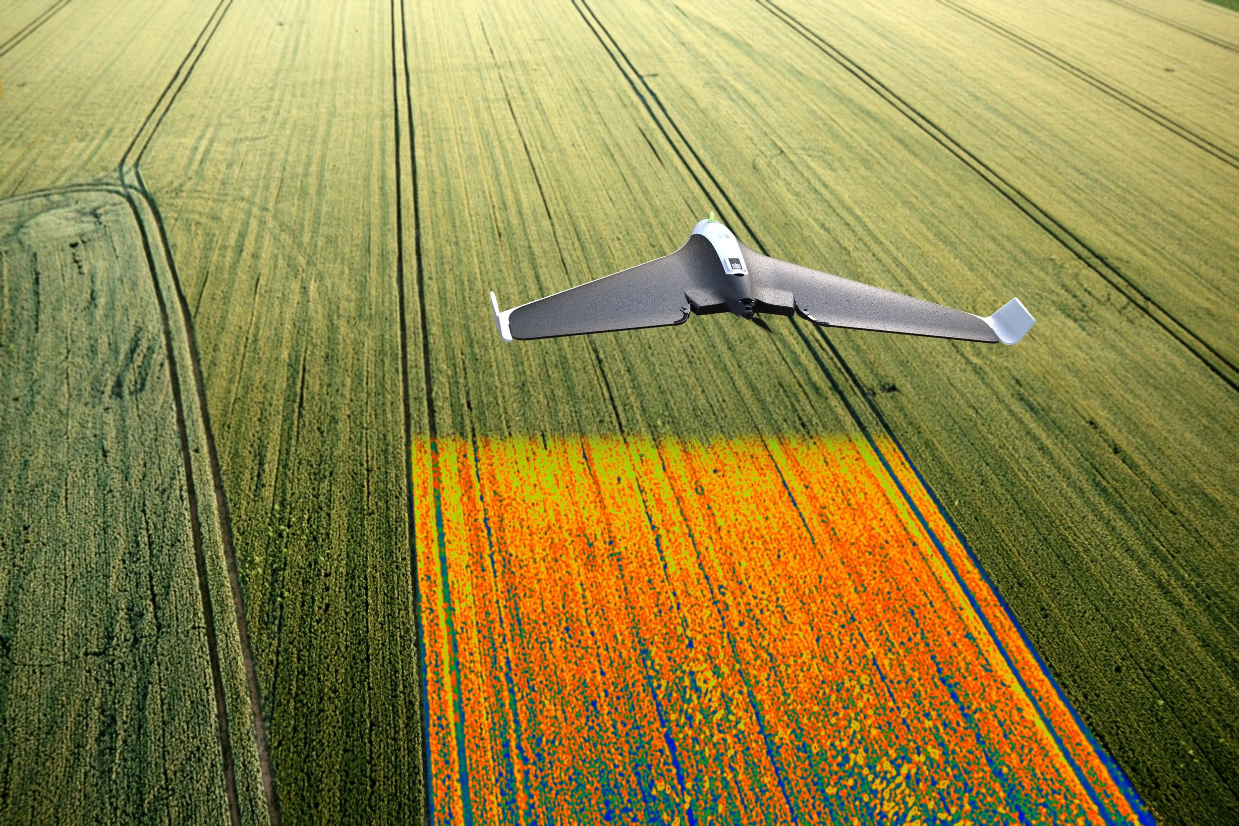 DISCO: IL DRONE PER L'AGRICOLTURA