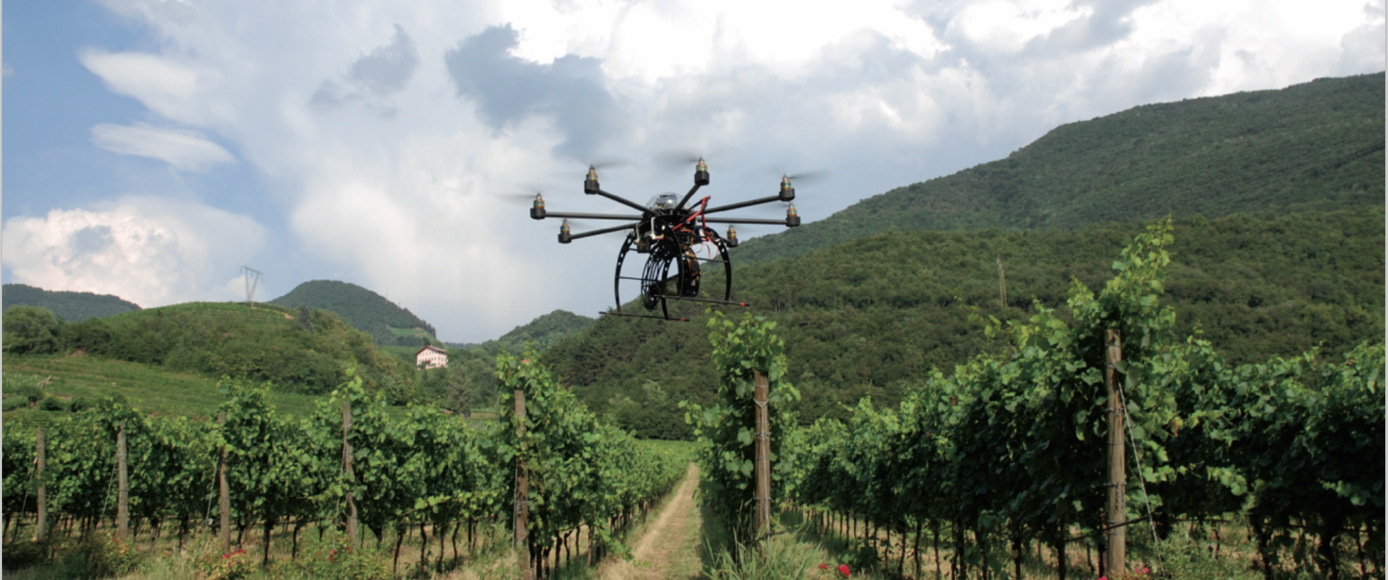 I DRONI PER SALVARE I VIGNETI