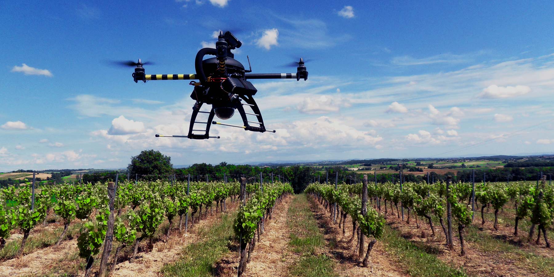 VIGNA 2.0 CON I DRONI