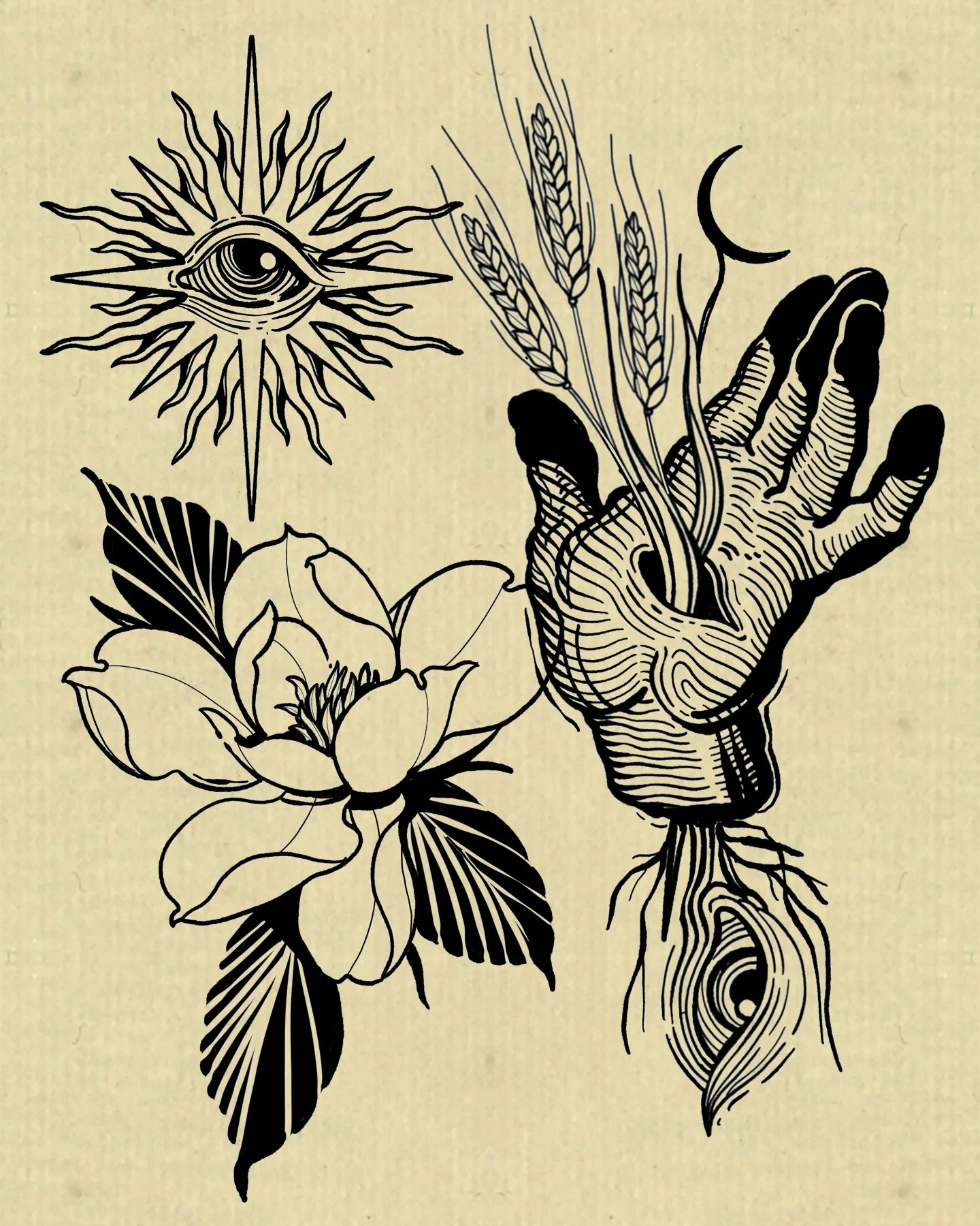 SpringFlash5.jpg