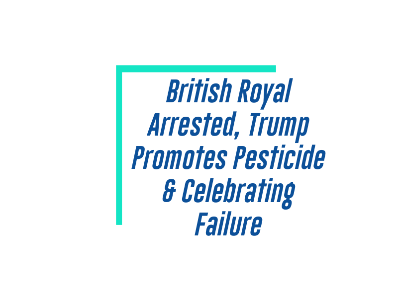 Friday, February 20, 2026