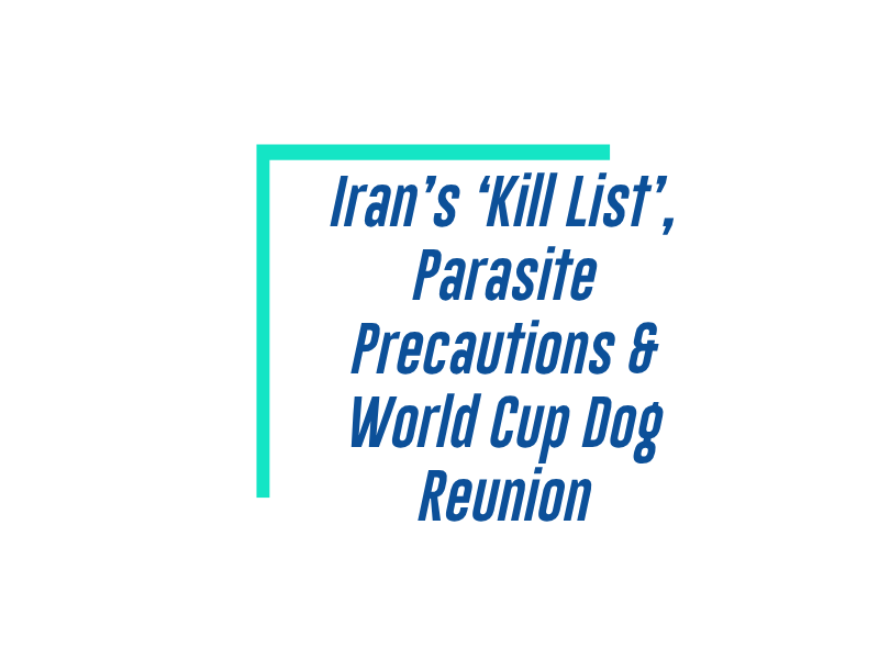 Friday, July 10, 2026 