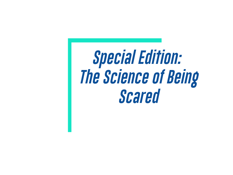 Saturday, October 31, 2026 