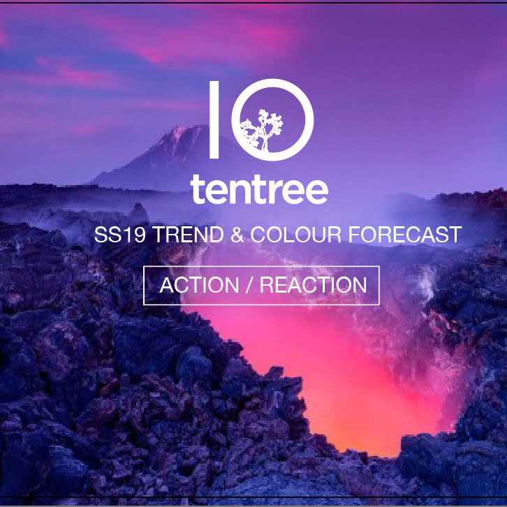 TREND &amp; COLOUR