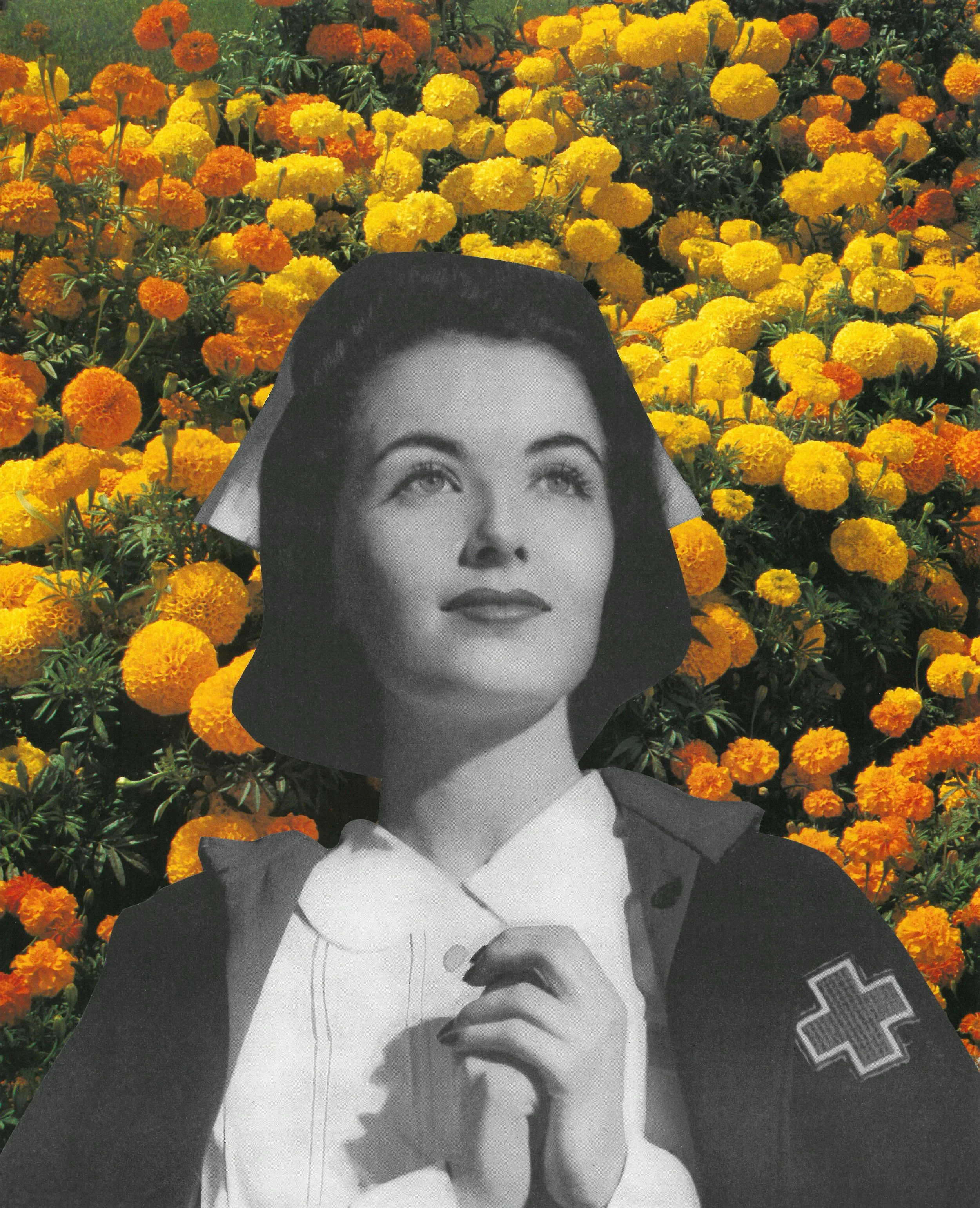 MISS MARIGOLD