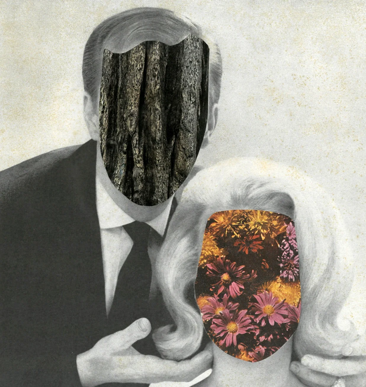 OAK &amp; DAISY