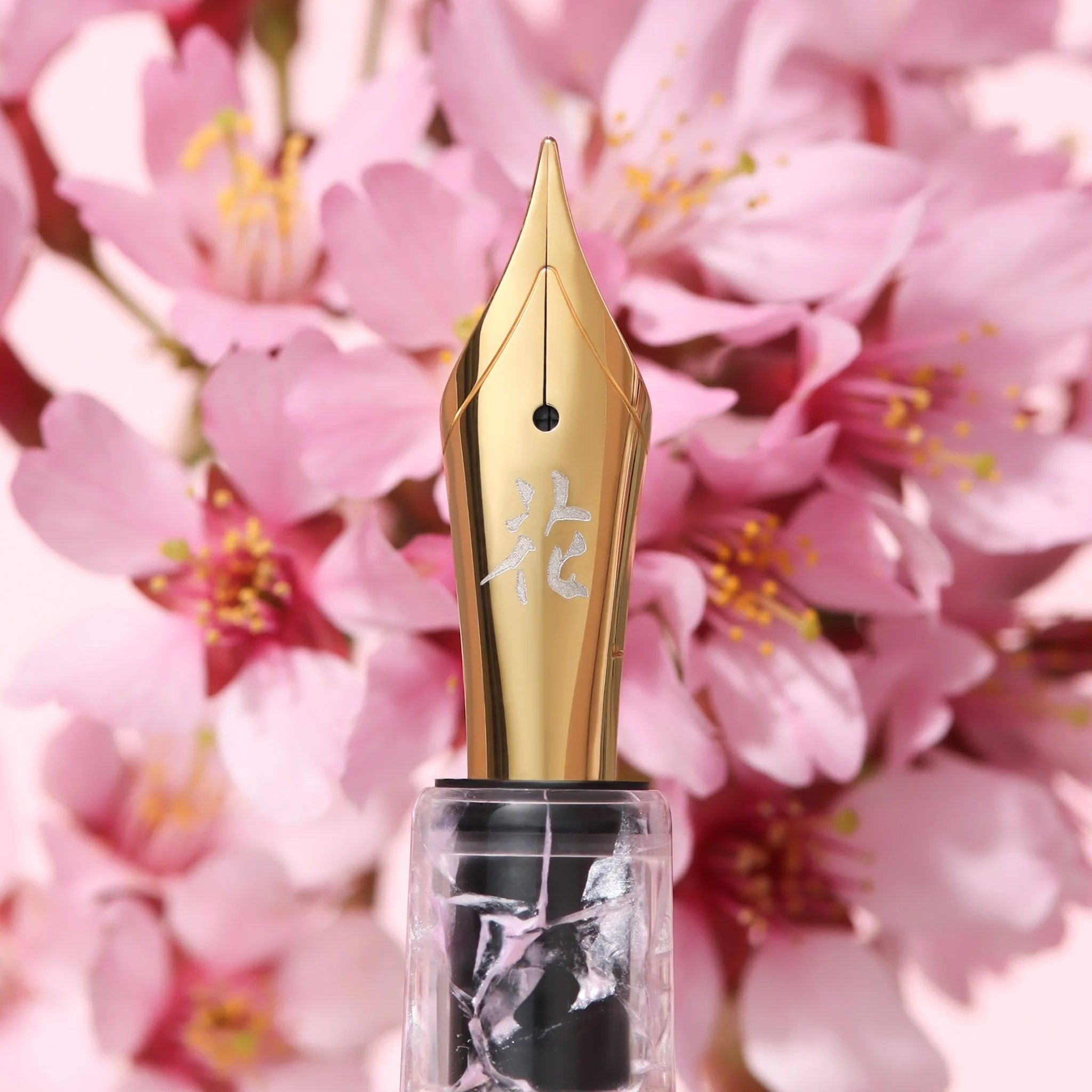 Nib of a fountain pen product photography