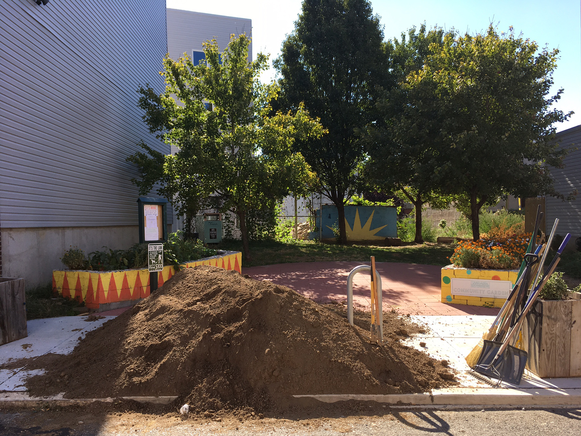Before Spreading the soil and seeds...