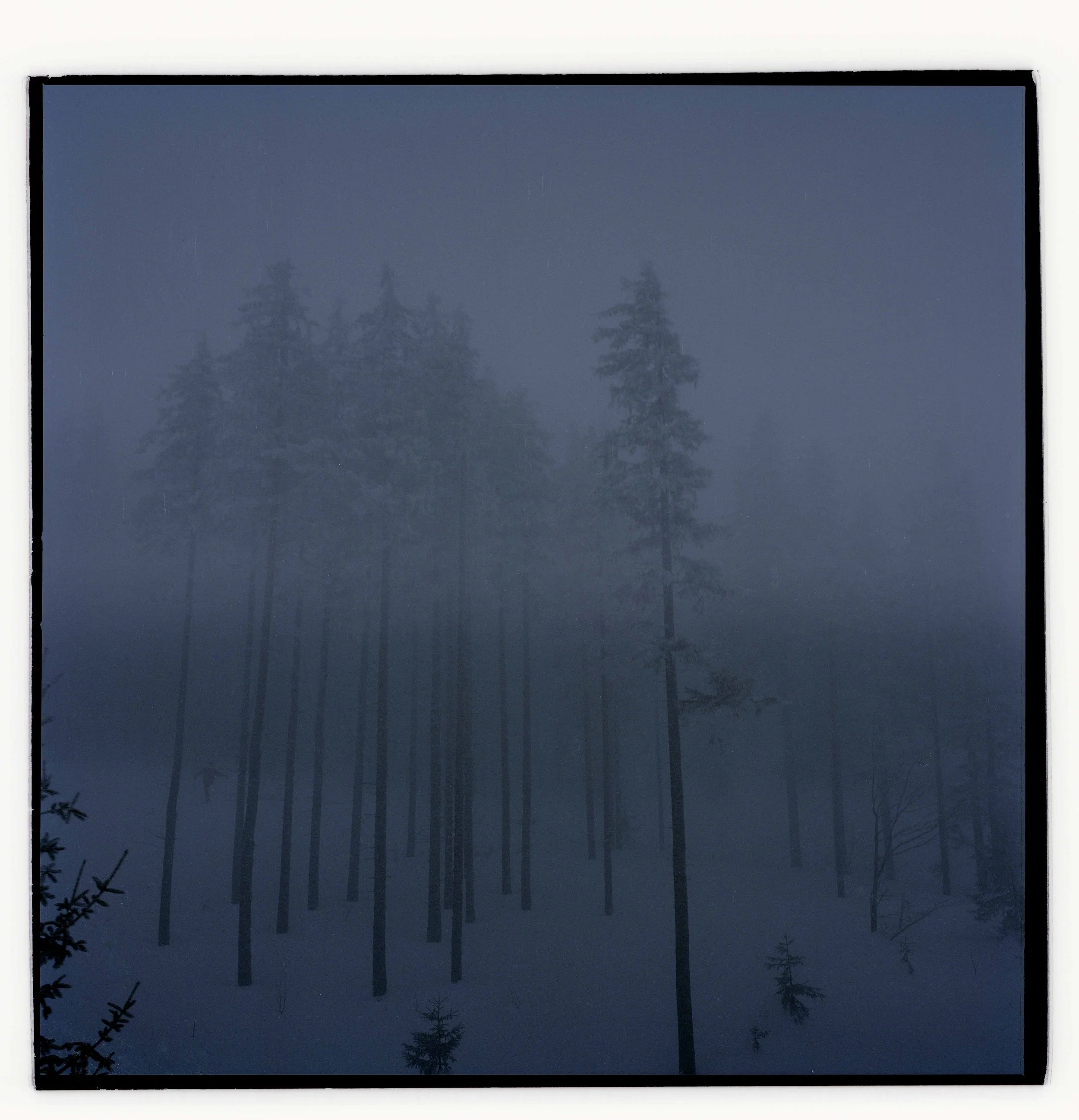 Eject Series - framed photographic print by Iulia Filipovscaia