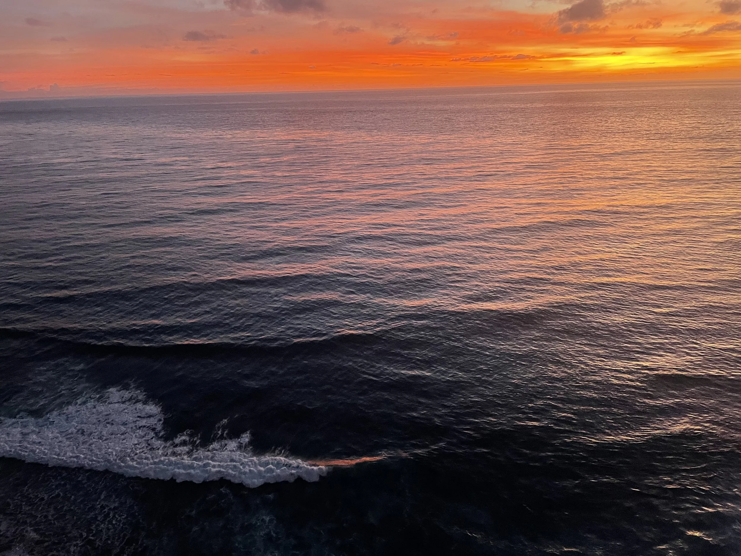 What is so special about Twilight?