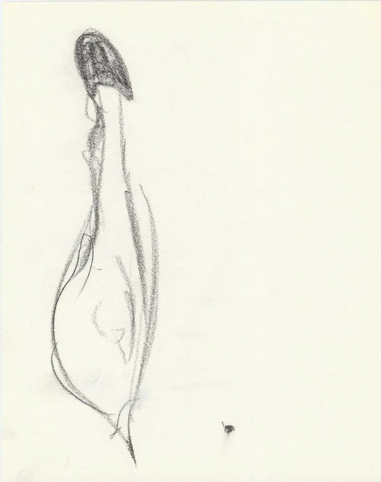 Drawing 8.jpg