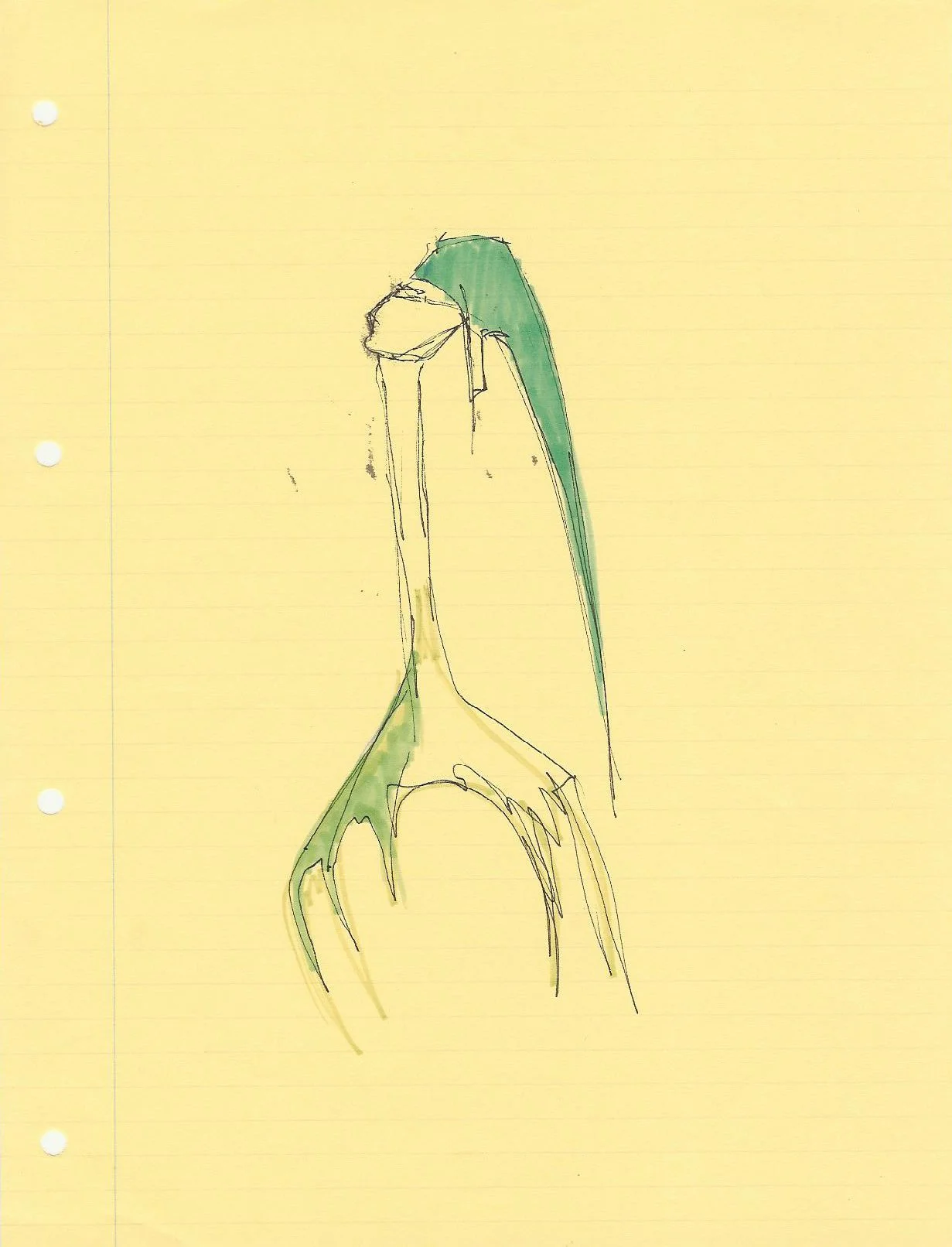 Drawing 24.jpg