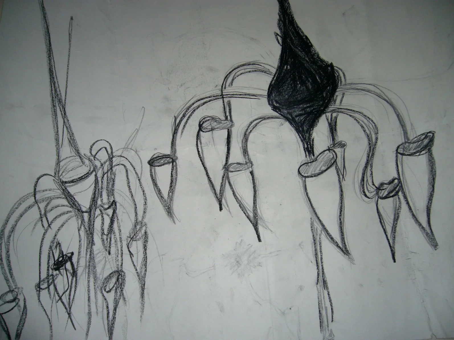 P1000330.JPG