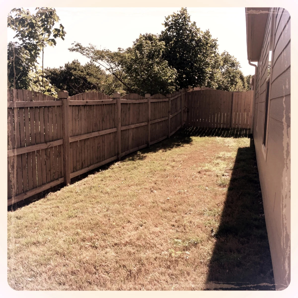 Rear Yard Contemporary Design- Before