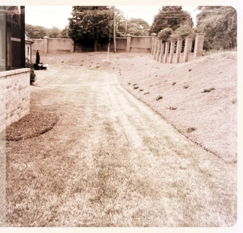 Rear Yard/Hillside Design-Before
