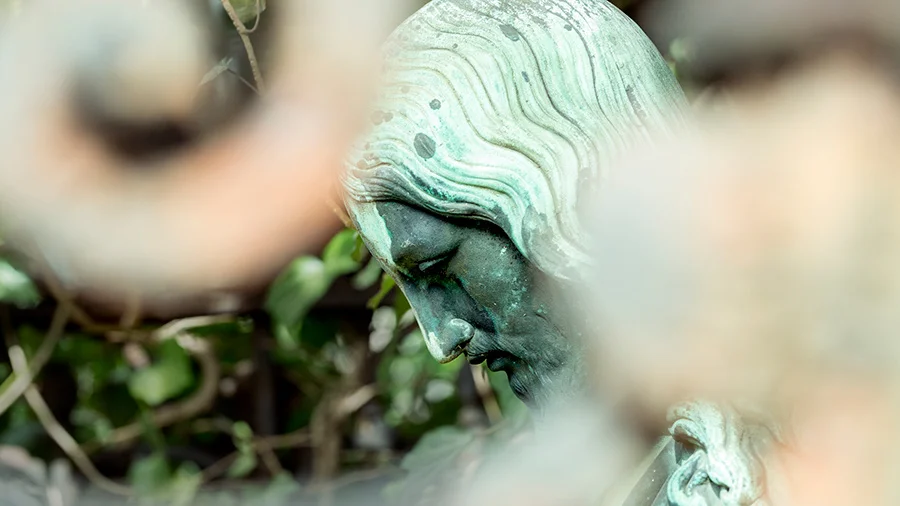 iStockphoto