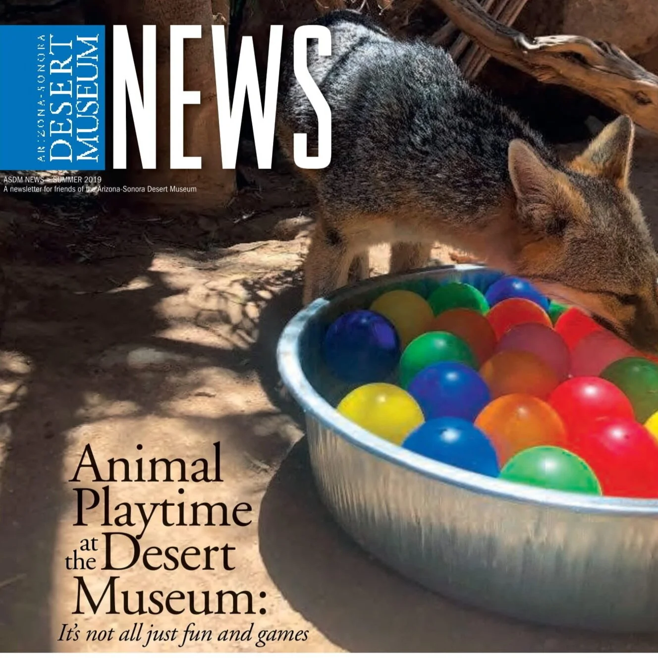 Desert+Museum+Animal+Enrichment+Article+%281%29-1.jpg